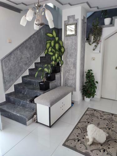 Apartamento Oaza Mira