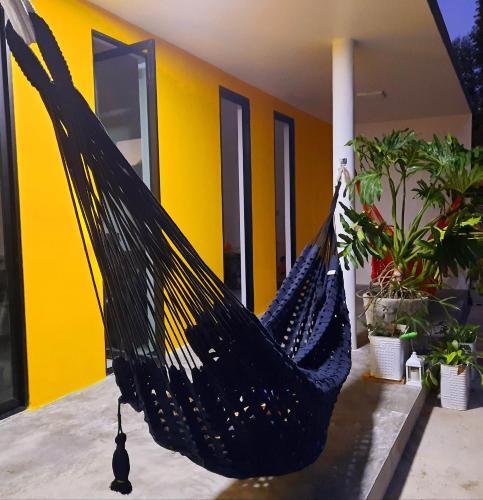 Casa Nova 2