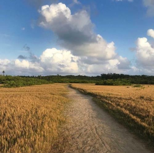 A Casa Concha Glamping Praia De Gravat�