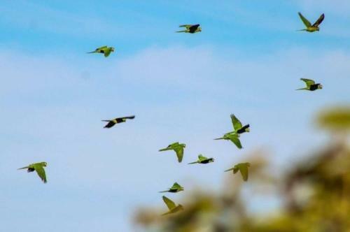 A Casa Concha Glamping Praia De Gravat�