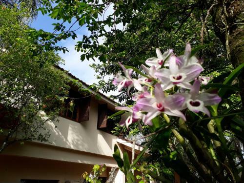 Recanto Green Hostel