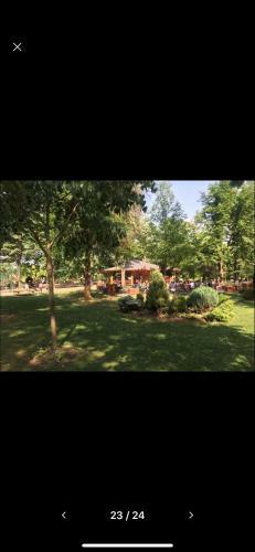 Royal Residence Apartmani