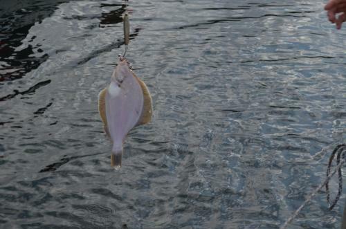 Apartamento Fjord Road