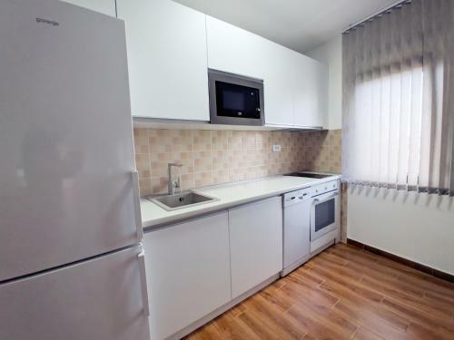 Lux Studio Apartment Vidanovic