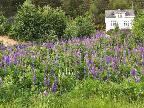 Holiday Home F�rde