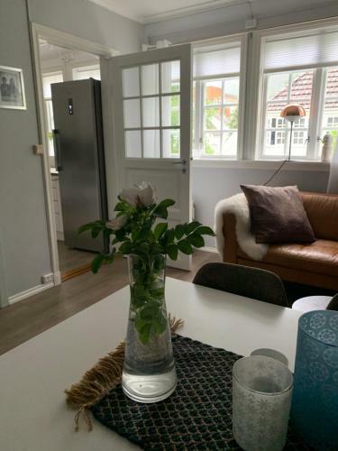 Apartamento H�yanger 3 Roms Leilighet