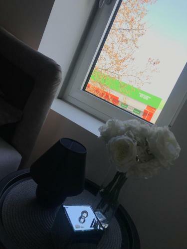 Lux Apartmani Milan-o