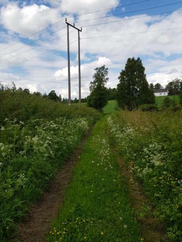 Bed & Breakfast Pilegrimsherberge Innomhaug
