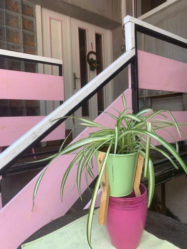 Apartamento "comfort Luxury House" -centar Grada
