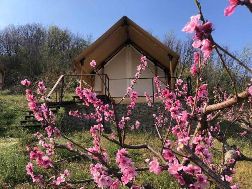Lala Vineyard Glamping Resort
