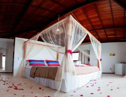 Hotel Pousada Sol E Viol�o