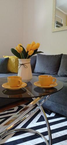 Apartman Sunflower