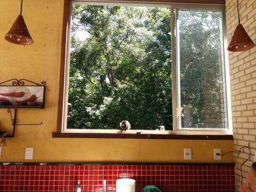 Temporada Riserva Manguinhos