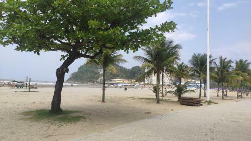Apartamento Cobertura Com Vista Para A Praia