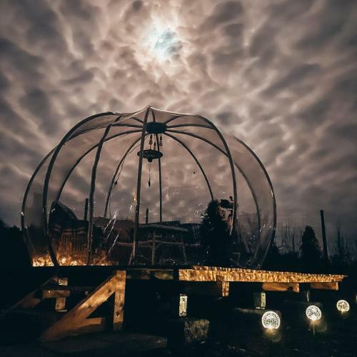 The Wooden Nest -covasna