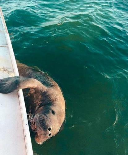 Lodge Ocacocar - Milagres