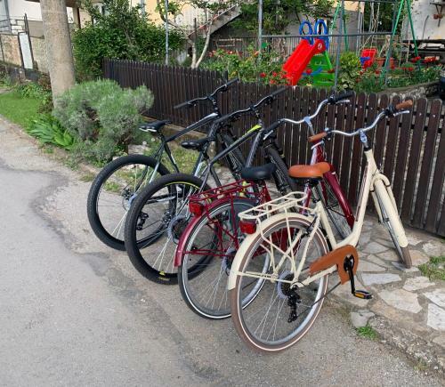 Apartamentos Tekija-apartmani