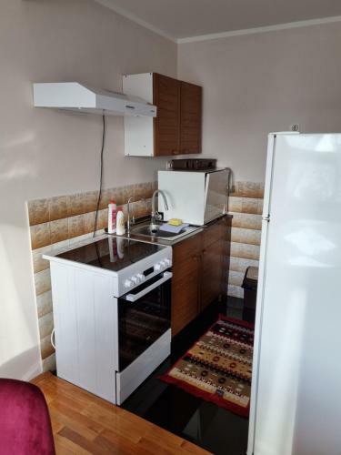 Apartamentos Tekija-apartmani