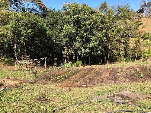 Recanto A 2 Km Do Centro De S�o Thom� Com Piscina No Meio A Natureza