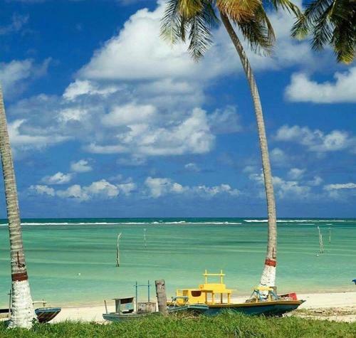 Apartamento Em Milagres Alagoas