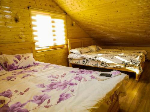 Apartamento Pensiunea La Buruiana