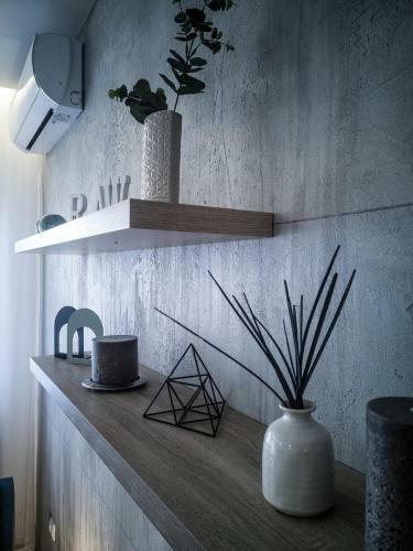 Raw Industrial City Apartment