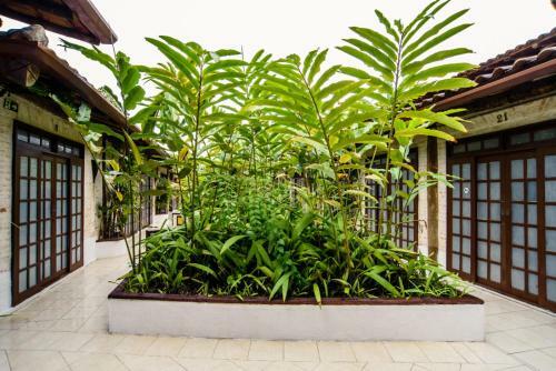 Apartamento Flat 10 - Conforto E Baixo Custo 60m Da Praia