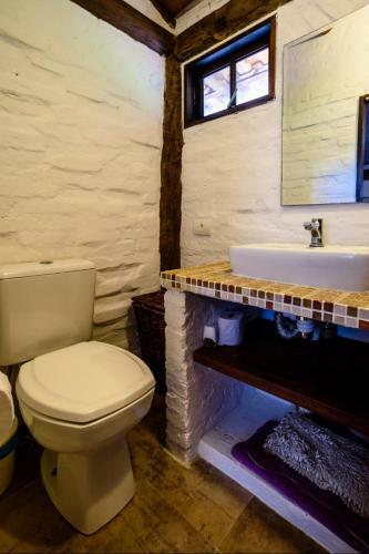 Apartamento Flat 10 - Conforto E Baixo Custo 60m Da Praia