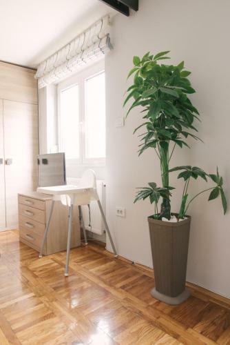 Apartman Marina Subotica