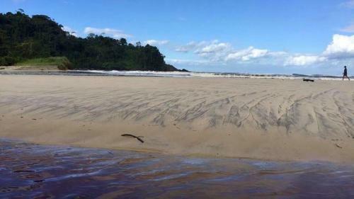 Casa Maravilhosa Dos Sonhos