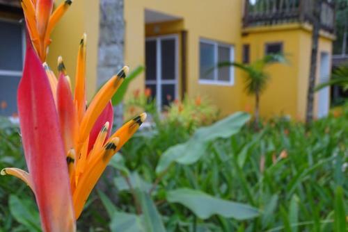 Apartamento La Ville Cambury