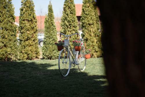 Apartamento Dumalux Room