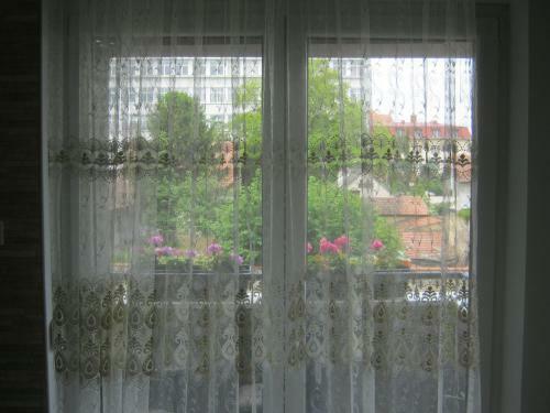 Ildiko Studio Apartment Is A Calm Place To Relax