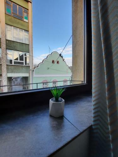 Apartamento Cool & Cozy Center