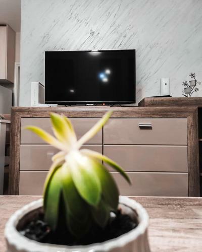 Apartamento Stan Na Dan Vesna
