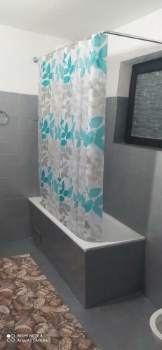 Apartmani Aleksic