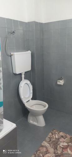 Apartmani Aleksic