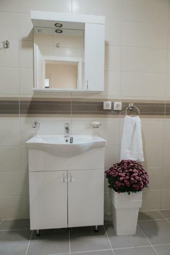 Apartman Srna