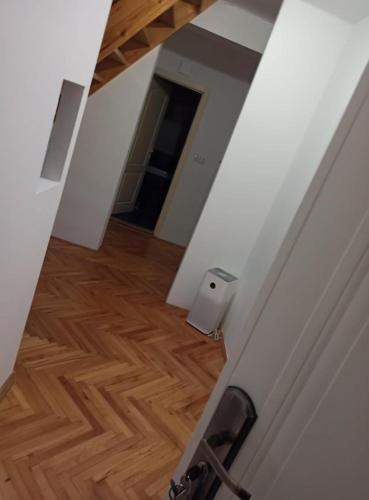 Apartment 17