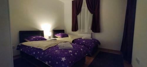 Apartman Davidovi? 32