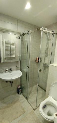 Apartman Davidovi? 32