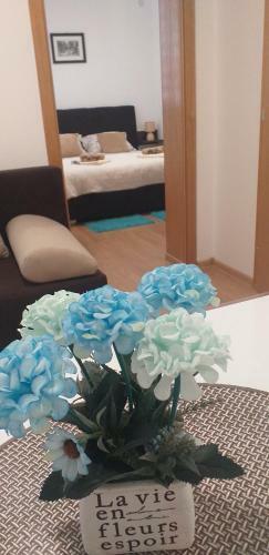 Apartman Golubovic