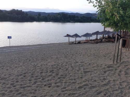 Apartman Markovic 2