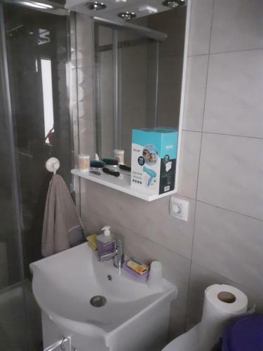 Apartman Markovic 2