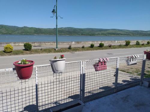 Apartamento Akademik