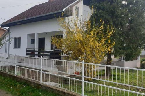 Apartmani Ricci R 2