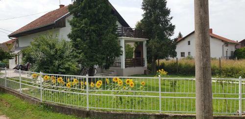 Apartmani Ricci R 2