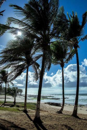 Apartamentos Itapu� Residence - Praia