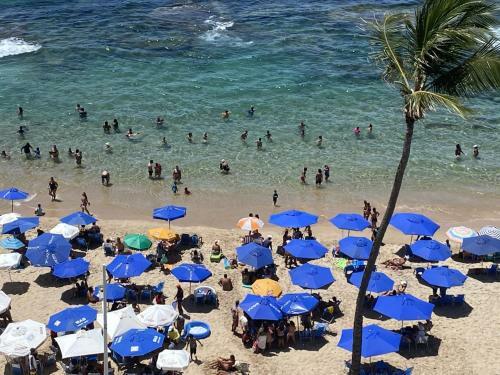 Apartamento Aconchegante Flat Beira Mar Praia Farol Da Barra
