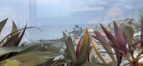 Apartamento Beira Mar Rio Vermelho 02